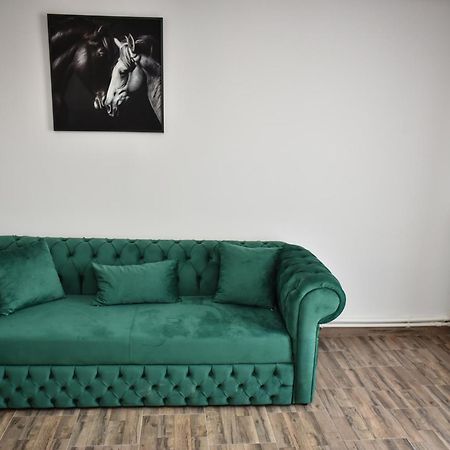 Apartament'S Moise トゥルダ エクステリア 写真