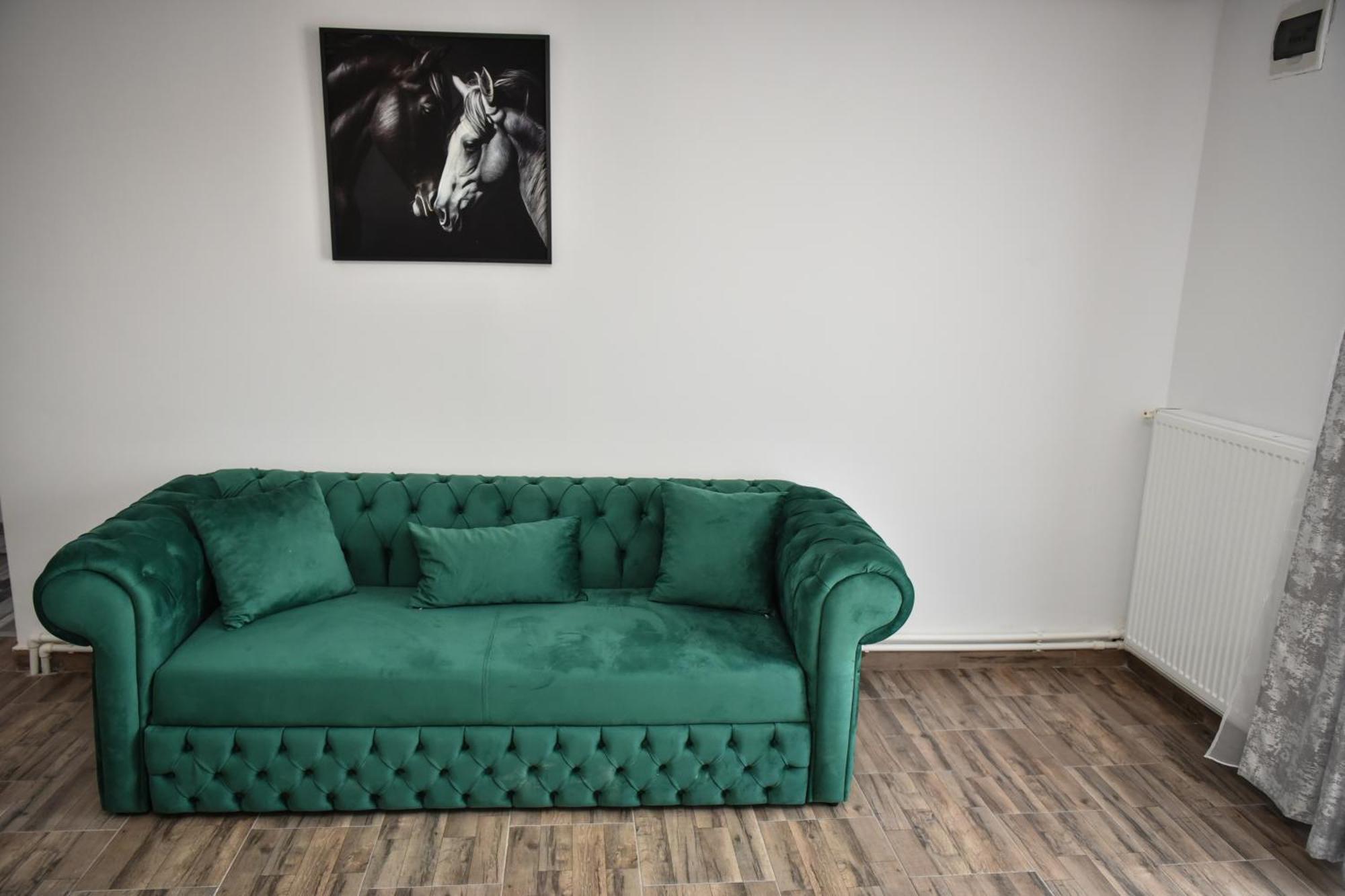 Apartament'S Moise トゥルダ エクステリア 写真